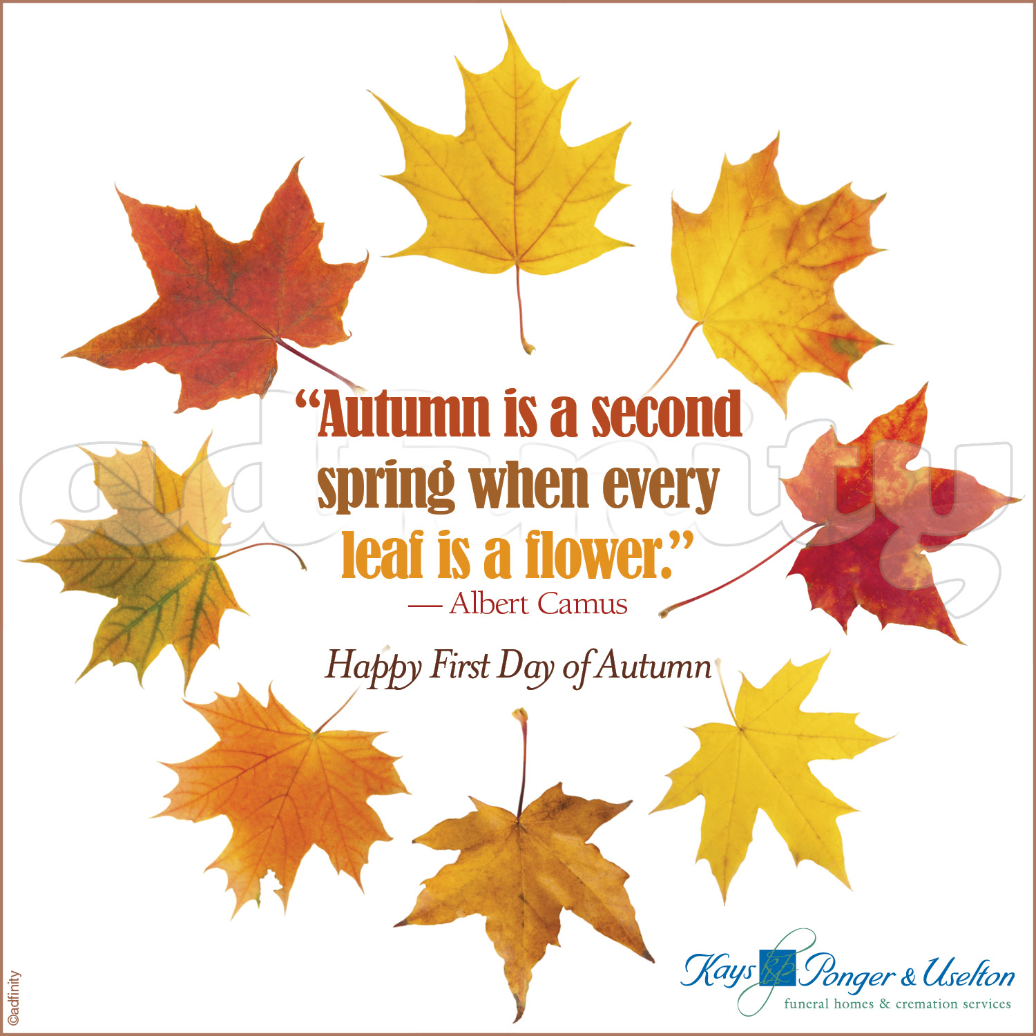 'Autumn is a second spring when every leaf is a flower.' (Facebook